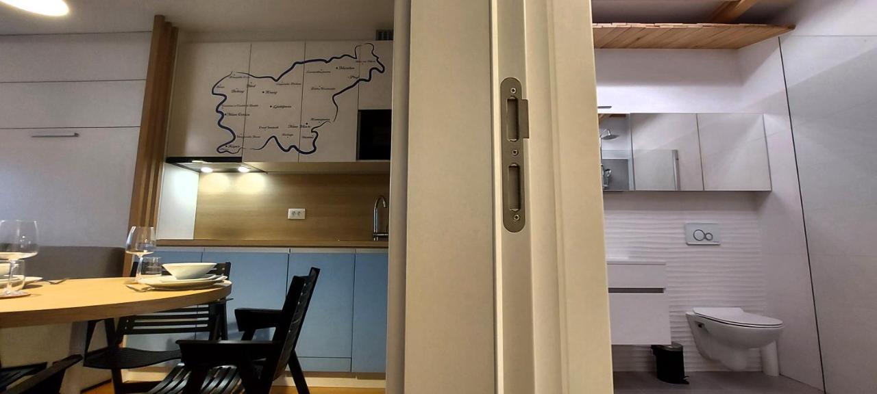 Bed & Breakfast Rezidenca Pipanova 류블랴나 외부 사진