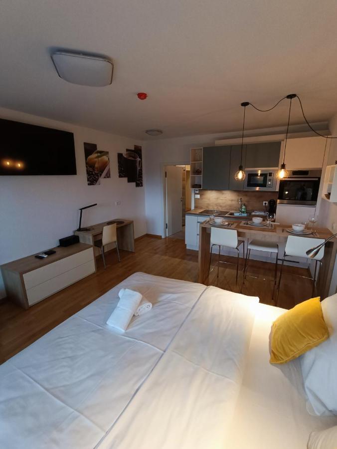 Bed & Breakfast Rezidenca Pipanova 류블랴나 외부 사진