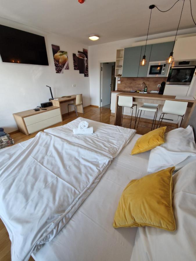 Bed & Breakfast Rezidenca Pipanova 류블랴나 외부 사진