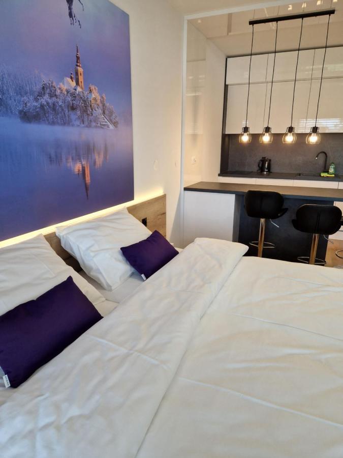 Bed & Breakfast Rezidenca Pipanova 류블랴나 외부 사진