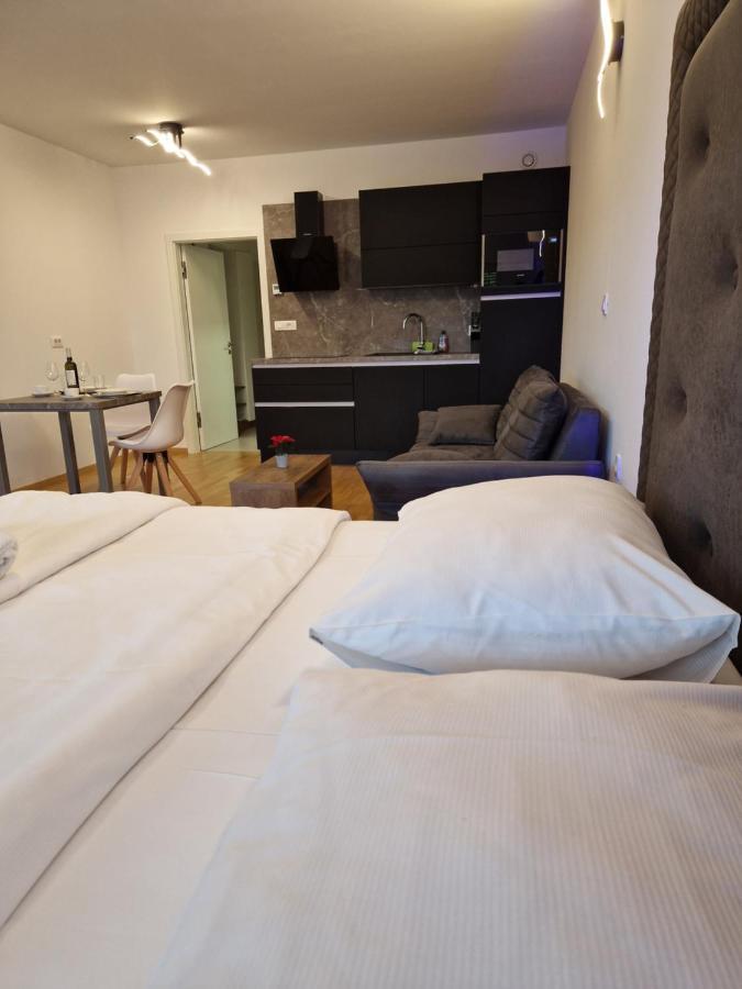 Bed & Breakfast Rezidenca Pipanova 류블랴나 외부 사진
